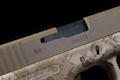 RWC Model 17 CNC Metal Version - (Digital Desert / DE)