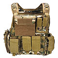 Pantac MOLLE Style PC Plate Carrier (MC*, M)